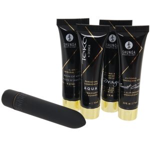 Naughty Geisha Pleasure Kit